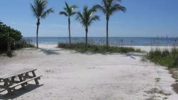 Red Coconut RV Park | Florida - Fort Myers (ve civarı) - Fort Myers Beach