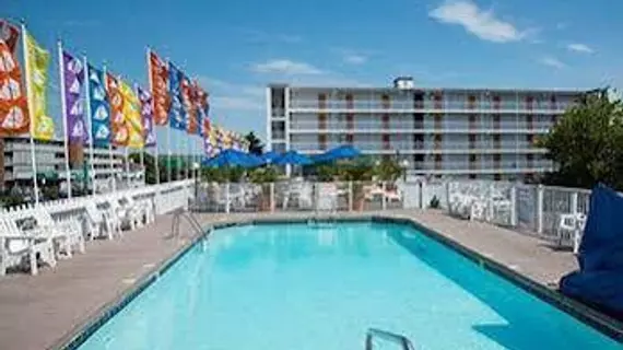 Spinnaker Motel | Maryland - Ocean City (ve civarı) - Ocean City