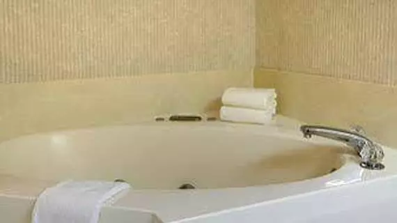 BAYMONT INN & SUITES WASHINGTO | Indiana - Vincennes (ve civarı) - Washington