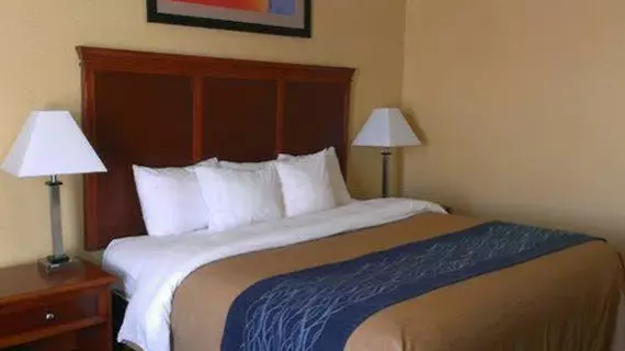 Comfort Inn & Suites Kent | Ohio - Summit İlçesi - Akron (ve civarı) - Kent