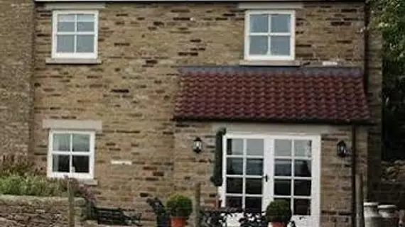 Sawdon Heights | Kuzey Yorkshire (kontluk) - Scarborough - Sawdon