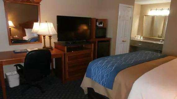 Comfort Inn Sun City Center | Florida - Tampa (ve civarı) - Sun City Center