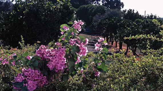 Quinta Da Praia Das Fontes | Alentejo - Setubal (bölge) - Alcochete