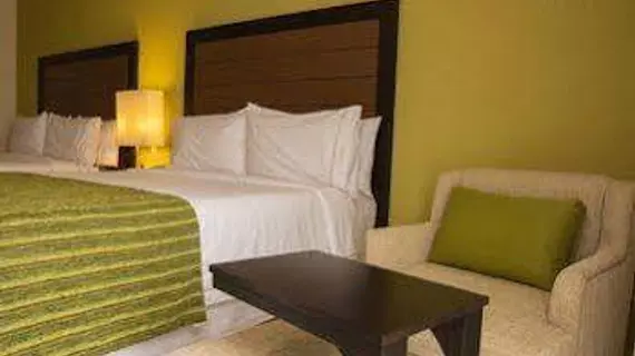 Holiday Inn Express Xalapa | Veracruz - Xalapa (ve civarı) - Xalapa