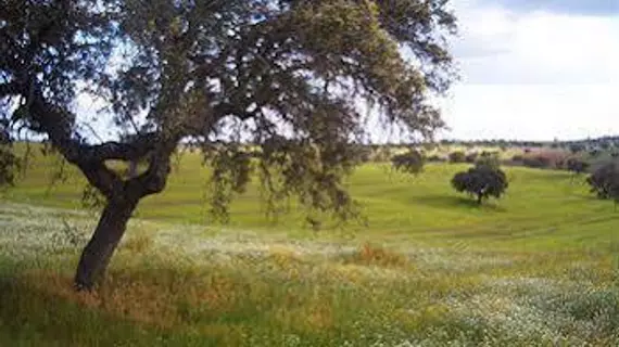 Vale Do Manantio | Alentejo - Beja Bölgesi - Moura