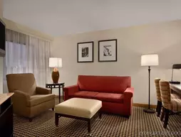 Embassy Suites Detroit Metro Airport | Michigan - Detroit (ve civarı) - Romulus