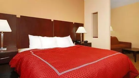 Comfort Suites Brunswick | Georgia - Brunswick (ve civarı) - Brunswick