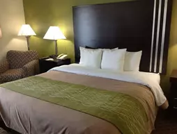 Comfort Inn Indianapolis East | Indiana - Indianapolis (ve civarı) - Indianapolis