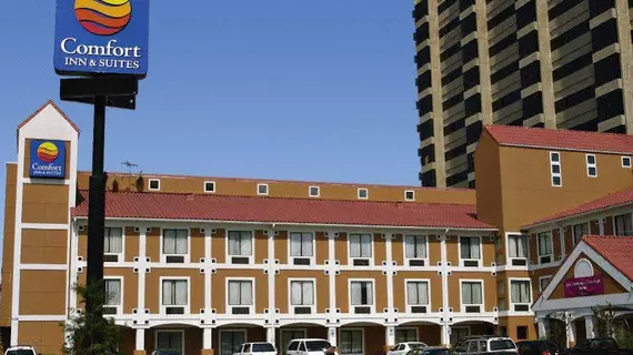 Comfort Inn & Suites Market Center | Teksas - Dallas (ve civarı) - Dallas