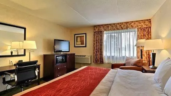 Comfort Inn Lansing | Michigan - Lansing (ve civarı) - Lansing