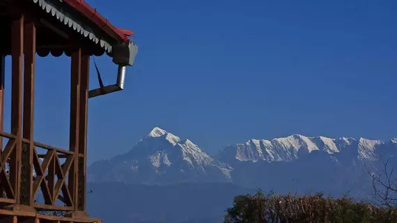 Chevron Eco Lodge | Uttarkand - Almora (ve civarı) - Almora