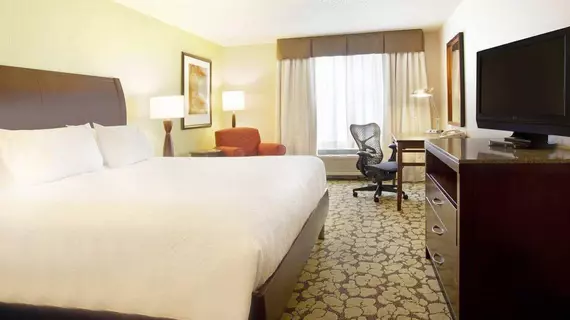 Hilton Garden Inn Minneapolis/Eden Prairie | Minnesota - Minneapolis - St. Paul (ve civarı) - Eden Prairie