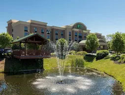 Holiday Inn Express Hotel & Suites Rochester Webster | New York - Rochester (ve civarı) - Webster