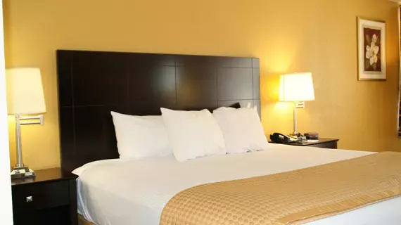 Best Western Heritage Inn - Chattanooga | Tennessee - Chattanooga (ve civarı) - Chattanooga - Tyner