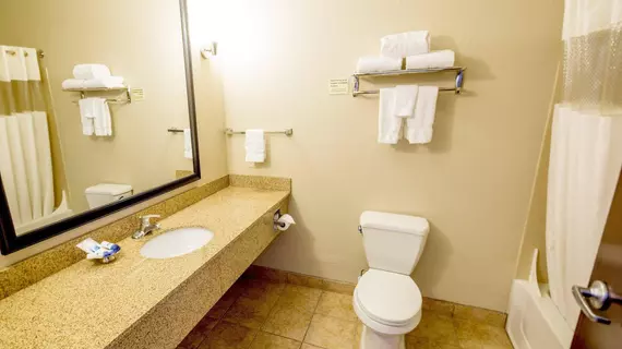 BEST WESTERN PLUS EASTGATE INN | Kansas - Wichita (ve civarı) - Viçita