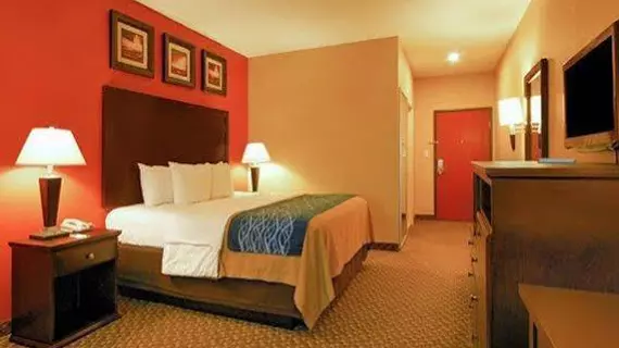 Comfort Inn Opelousas | Louisiana - Lafayette (ve civarı) - Opelousas