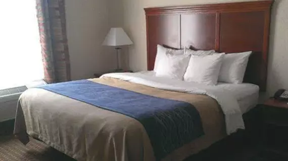 Comfort Inn & Suites Kent | Ohio - Summit İlçesi - Akron (ve civarı) - Kent