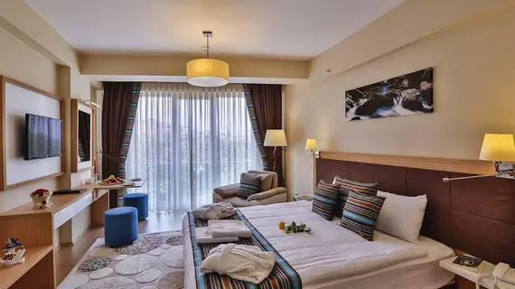 Manesol Suites Golden Horn |  Istanbul  - Beyoğlu - Sütlüce Mahallesi