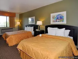 Comfort Inn & Suites Near Folsom Lake Rancho Cordova | Kaliforniya - Sacramento (ve civarı) - Rancho Cordova