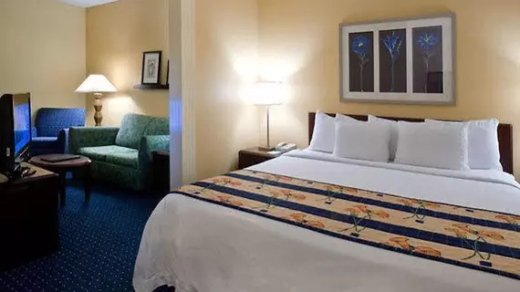 SpringHill Suites Savannah Midtown | Georgia - Savannah (ve civarı) - Savana - Midtown