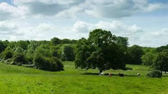 The Old Piggery Guest Accommodation | Bedfordshire (kontluk) - Bedford - Wilshamstead