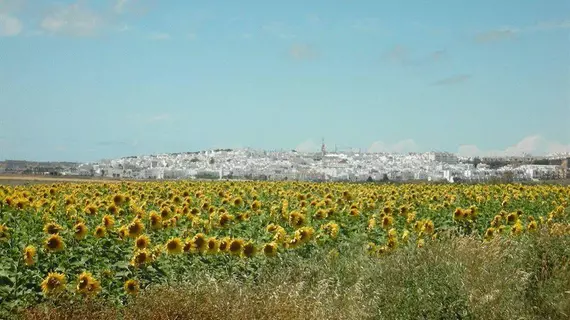 Hostal Casa Alborada | Andalucia - Cadiz (vilayet) - La Janda - Conil de la Frontera - Conil de la Frontera Kent Merkezi