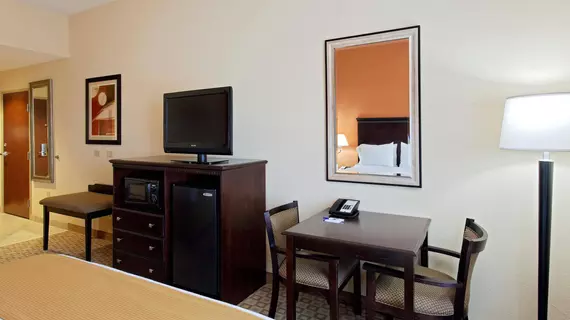 Holiday Inn Express Hotel & Suites Talladega | Alabama - Oxford (ve civarı) - Talladega