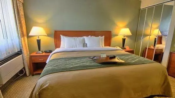 Comfort Inn Near Greenfield Village | Michigan - Detroit (ve civarı) - Dearborn