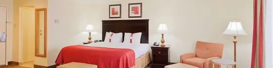 Holiday Inn Mobile Downtown Historic District | Alabama - Mobile (ve civarı) - Mobile