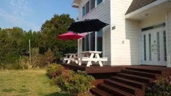 Olle Guesthouse | Jeju Adası - Seogwipo - Seogwipo Şehri