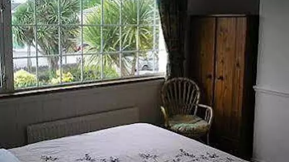 Cherry Tree Guesthouse | Kerry (kontluk) - Killarney