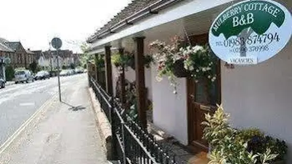 Mulberry Cottage B&B | Wight Adası (kontluk) - Bembridge