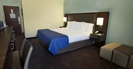 Holiday Inn Express Romulus / Detroit Airport | Michigan - Detroit (ve civarı) - Romulus