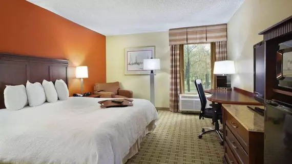 Hampton Inn Houston Near the Galleria | Teksas - Houston (ve civarı) - Houston - The Galleria Alışveriş Merkezi