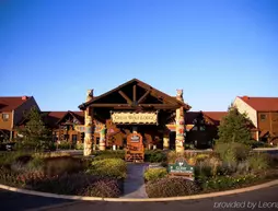 Great Wolf Lodge | Ontario - Niagara Regional Belediyesi - Niagara Şelalesi (ve civarı), Kanada - Niagara Şelalesi