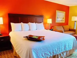 Hampton Inn Houston Near the Galleria | Teksas - Houston (ve civarı) - Houston - The Galleria Alışveriş Merkezi