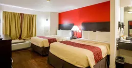 Red Roof Inn Austin - Round Rock | Teksas - Austin (ve civarı) - Round Rock