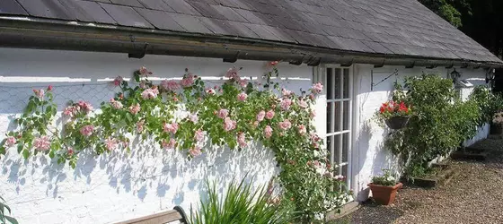 Detling Coachhouse Bed & Breakfast | Kent (kontluk) - Maidstone District - Maidstone