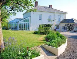 Belgrave B&B | Devon (kontluk) - South Molton