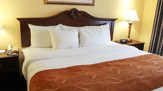 Comfort Suites Savannah North | Georgia - Savannah (ve civarı) - Port Wentworth