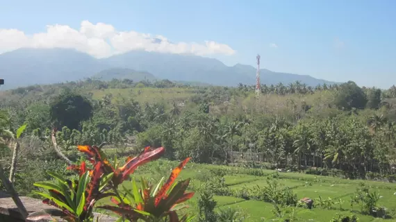 Taman Ujung Villas | Bali - Karangasem