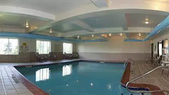 Comfort Suites Wixom / Novi | Michigan - Detroit (ve civarı) - Wixom