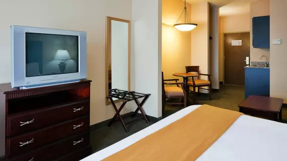 Holiday Inn Express Hotel & Suites Pell City | Alabama - Oxford (ve civarı) - Pell City