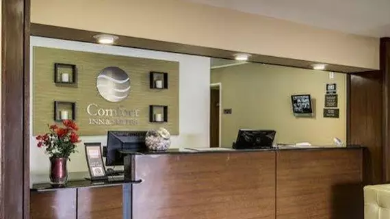 Comfort Inn & Suites Morgan City | Louisiana - Morgan City (ve civarı) - Morgan City