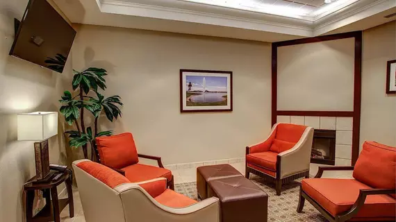 Comfort Inn Fountain Hills/Mayo Clinic | Arizona - Phoenix (ve civarı) - Fountain Hills