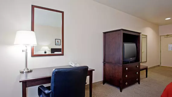 Holiday Inn Express Garden Grove | Kaliforniya - Orange County - Anaheim - Anaheim Resort