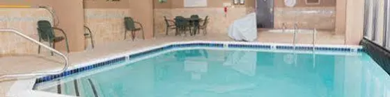 Drury Inn & Suites Houston Hobby Airport | Teksas - Houston (ve civarı) - Houston