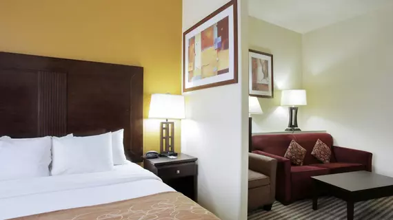 Comfort Suites North Pflugerville | Teksas - Austin (ve civarı) - Pflugerville