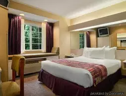 Microtel Inn & Suites by Wyndham Atlanta Buckhead Area | Georgia - Atlanta (ve civarı) - Atlanta - Buford Otoyolu