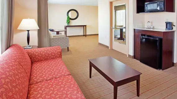 Holiday Inn Express Hotel & Suites Andover East 54 Wichita | Kansas - Wichita (ve civarı) - Andover